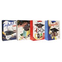   Ajándéktasak ballagásra kidomborodó csillámos mintákkal L 4 féle, 32 cm x 26 cm x 10 cm